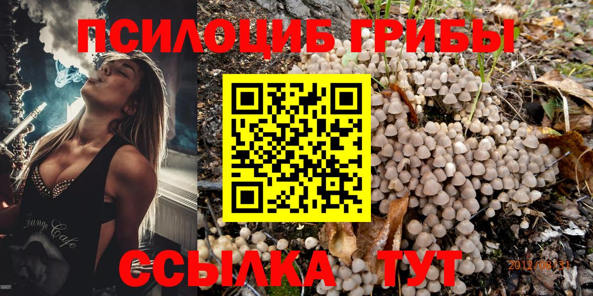 Красноуфимск  Псилоцибиновые грибы MAGIC MUSHROOMS  Псилоцибиновые грибы Psilocybe  Вход с VPN 
