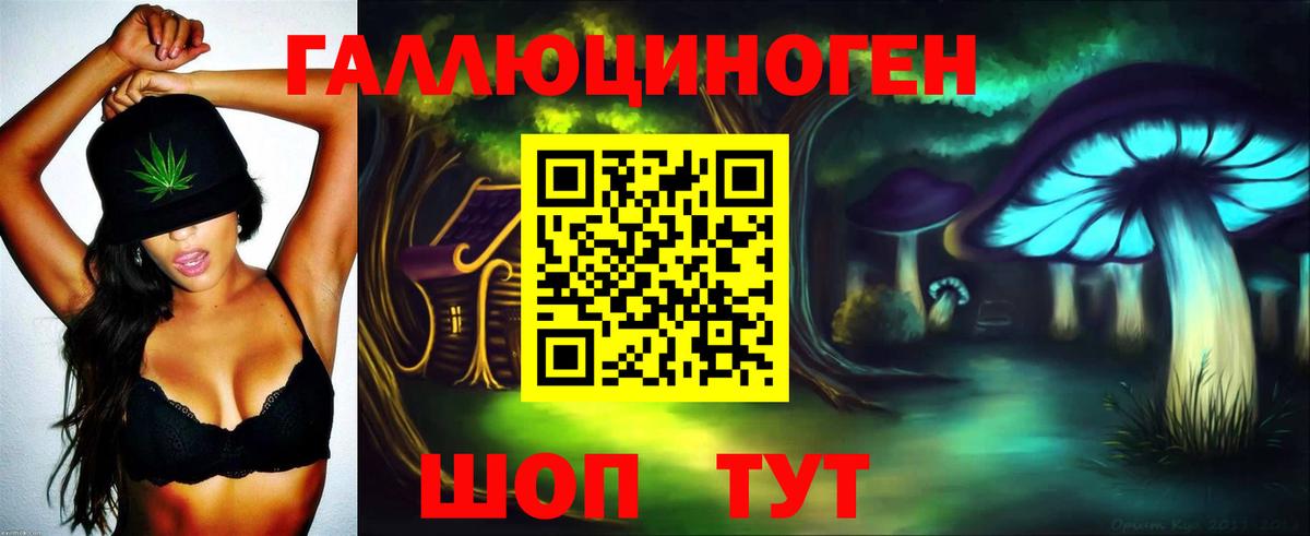 Псилоцибиновые грибы Cubensis Красноуфимск